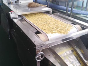 豆粉微波脫腥試驗成功